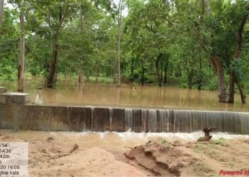 राज्य के तीनों टाईगर रिजर्व में लगभग 19 करोड़ से डेढ़ लाख संरचनाओं का हो रहा निर्माण