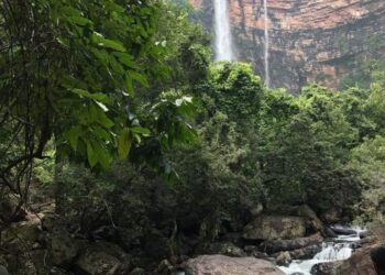 छत्तीसगढ़ की सुंदरता : बस्तर में प्राकृतिक सौंदर्य बिखेरता यह “नम्बी जलप्रपात”