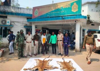 वन्यप्राणी अपडेट : तेंदुए की खाल के साथ 2 तस्कर गिरफ्तार…