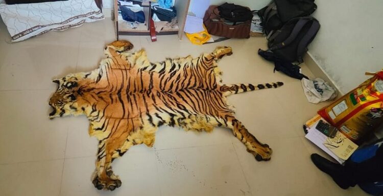 बाघ के खाल के साथ 7 आरोपी गिरफ्तार