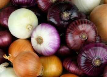 प्याज के सेवन से होगा बीमारी से बचाव और गहरी नींद में सोएंगे आप