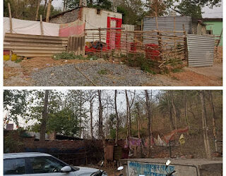 रिजर्व फारेस्ट अतिक्रमण का खुला खेल, लापरवाह बीट गार्ड पर विभाग मेहरबान