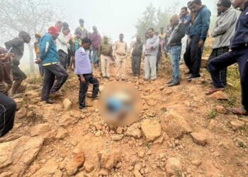 घने कोहरे में छिपी मौत नहीं देख पाया बुजुर्ग…