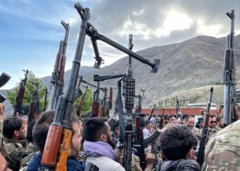 घाटी में सक्रिय हैं 20 से 25 आतंकवादी, इनमे रिटायर्ड पाक सैनिक भी…