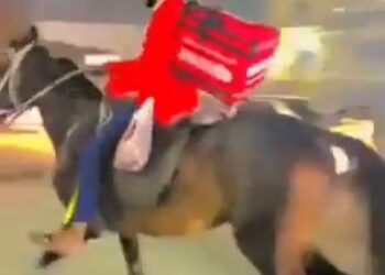 पेट्रोल नहीं मिला तो घोड़े पर खाना डिलीवर करने निकला जोमैटो डिलीवरी राइडर