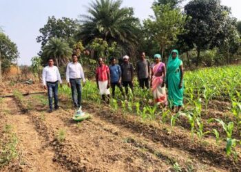 फसलों को कीट व बीमारियों से बचाने बुआई से पूर्व करें बीजों को उपचारित