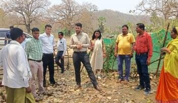 कलेक्टर ने बालूद, मटेनार, नेटापुर व चंदेनार में चल रहे विकास कार्यो का लिया जायजा