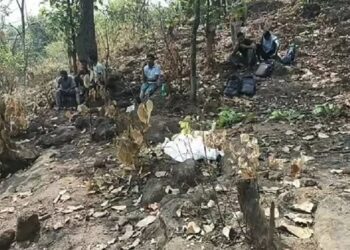 हाथी ने महुआ बिनने गए ग्रामीणों पर किया हमला, वृद्धा की मौत…