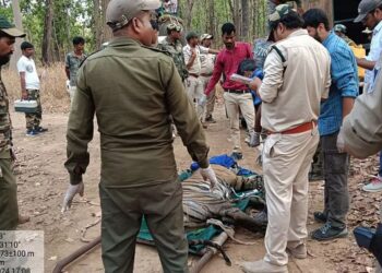 वन विभाग ने आदमखोर बाघ को पकड़ा, ग्रामीणों ने रोका था मतदान…