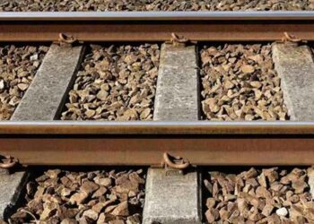 रेलवे ट्रैक पर मिले 2 सगे भाइयों के शव, इलाके में सनसनी…