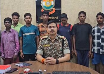 आईईडी प्लांट रहे थे नक्सली, सुरक्षाबलों ने किया गिरफ्तार…