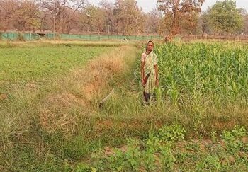 खेती और किराना दुकान शुरू करके ग्राम बालूद की ’’कमला’’ ने तय किया तरक्की का सफर