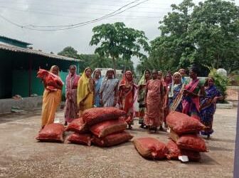 दीदियों के जीवन में आयेगी समृद्धि’’ : समूह की दीदियां करेगी अब हल्दी का व्यवसायिक उत्पादन