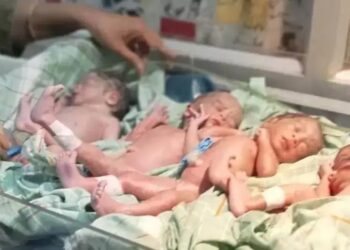 महिला ने अस्पताल में दिया चार बच्चों को जन्म, खुशी का माहौल