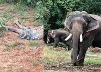 ग्रामीण का शव मिला, हाथी के हमले से मौत की संभावना