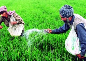 केंद्र सरकार का किसानों को तोहफा, पीएम-आशा योजना रहेगी जारी