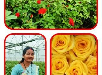डच रोज़ की खेती कर दूसरे किसानों के लिए मिसाल बनी रजनी