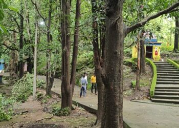 सीएम कैम्प आफिस की पहल : रायगढ़ के ऐतिहासिक पर्यटन स्थल कुर्रा गुफा तक पहुंची बिजली