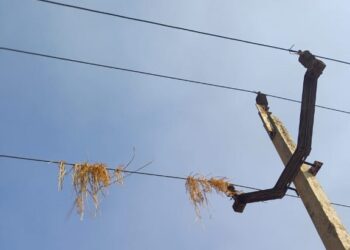 विद्युत लाइनों के पास धान की मिंजाई से हो रही विद्युत व्यवस्था बाधित