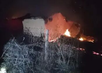 घर में आग लगने से 40 मुर्गियां सहित 1 लाख रुपए कैश जल कर खाक