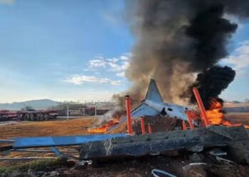 दक्षिण कोरिया में विमान हादसा; 181 लोग थे सवार, 120 की मौत