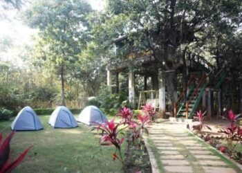 प्राकृतिक पर्यटन : वन चेतना केन्द्र मनगट्टा में वन्य जीवों के स्वतंत्र रूप से विचरण करने का आनंद ले रहे सैलानी