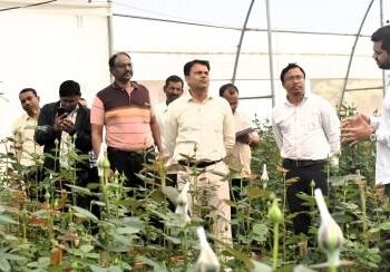 कलेक्टर ने गुलाब फूल व ग्राम बिच्छीबहरा में टमाटर के खेती के कार्य का किया अवलोकन