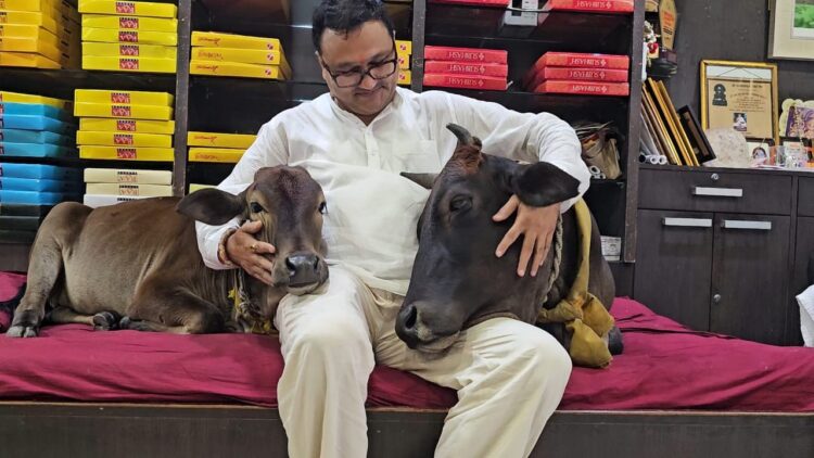 देश-दुनिया में नाम करने वाली ‘चंद्रमणि’ पहुंची मनोहर गौशाला