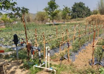 एकीकृत कृषि और आजीविका के लिए ‘दीदी के बखरी’ से आ रही नई क्रांति